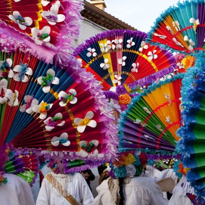 AntruejoLlamasRibera2010_04