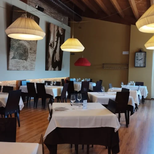 zingara-1