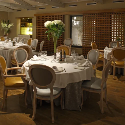 zingara-2