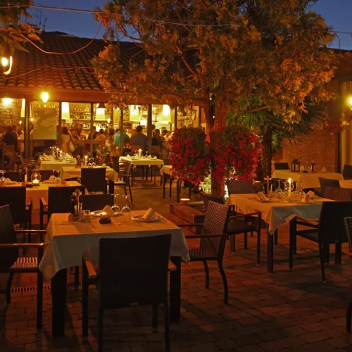 zingara-4